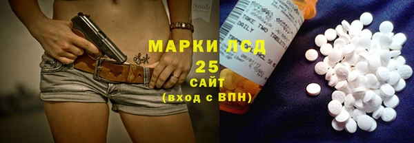 прущий лед Алзамай