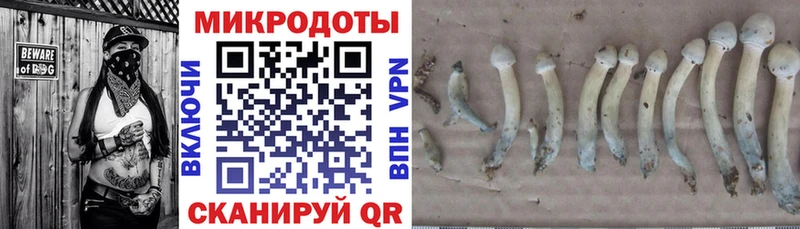 mega как зайти  Новопавловск  Псилоцибиновые грибы MAGIC MUSHROOMS 